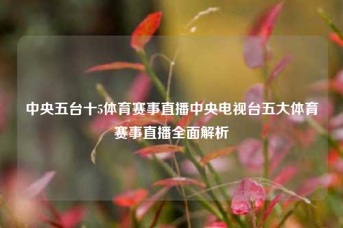 中央五台十5体育赛事直播中央电视台五大体育赛事直播全面解析