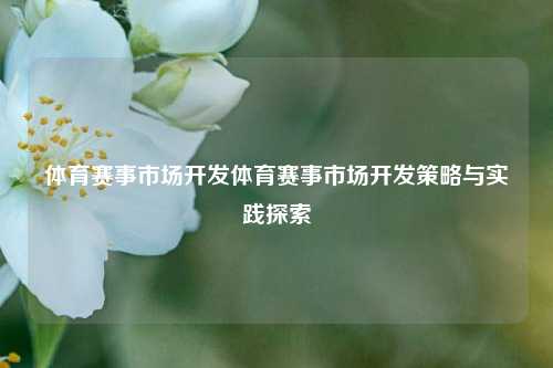 体育赛事市场开发体育赛事市场开发策略与实践探索