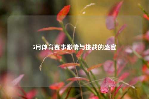 5月体育赛事激情与挑战的盛宴