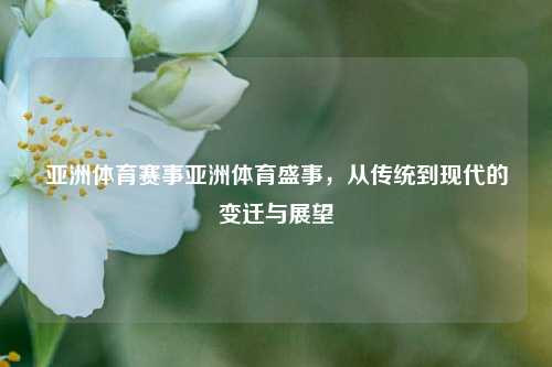 亚洲体育赛事亚洲体育盛事，从传统到现代的变迁与展望