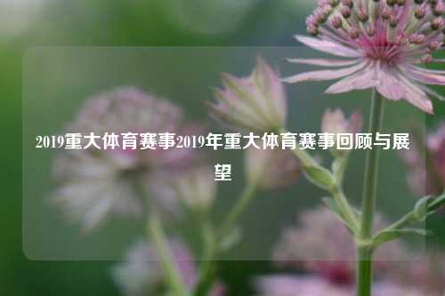 2019重大体育赛事2019年重大体育赛事回顾与展望