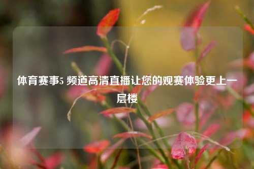 体育赛事5 频道高清直播让您的观赛体验更上一层楼