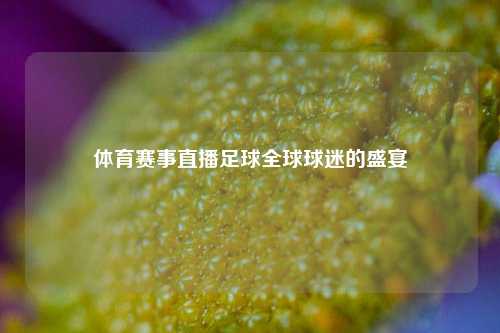 体育赛事直播足球全球球迷的盛宴