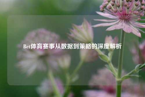 Bet体育赛事从数据到策略的深度解析