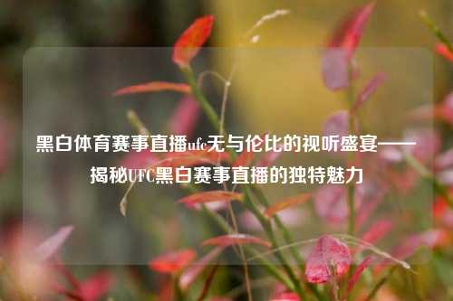 黑白体育赛事直播ufc无与伦比的视听盛宴——揭秘UFC黑白赛事直播的独特魅力
