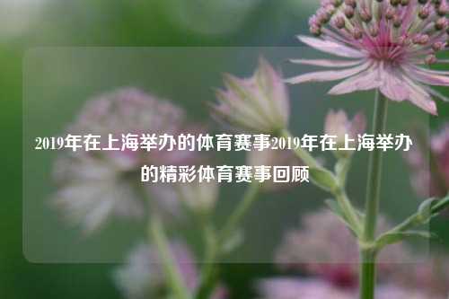 2019年在上海举办的体育赛事2019年在上海举办的精彩体育赛事回顾