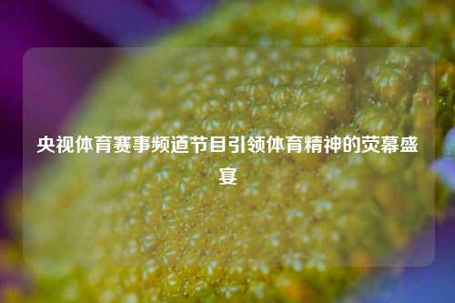 央视体育赛事频道节目引领体育精神的荧幕盛宴