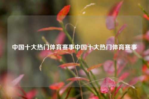 中国十大热门体育赛事中国十大热门体育赛事