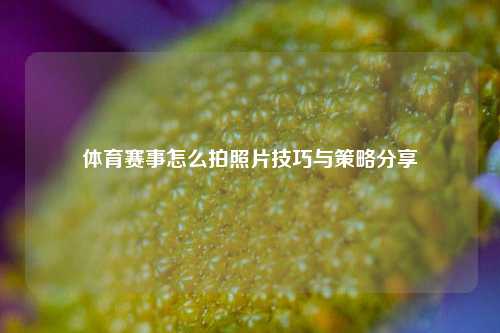 体育赛事怎么拍照片技巧与策略分享