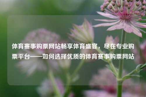 体育赛事购票网站畅享体育盛宴，尽在专业购票平台——如何选择优质的体育赛事购票网站