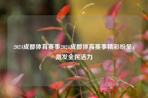 2024成都体育赛事2024成都体育赛事精彩纷呈，激发全民活力
