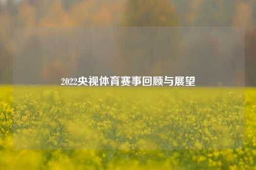 2022央视体育赛事回顾与展望