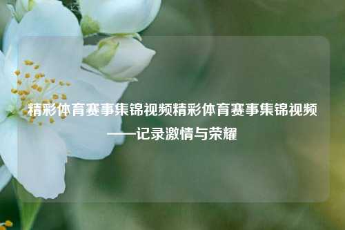 精彩体育赛事集锦视频精彩体育赛事集锦视频——记录激情与荣耀