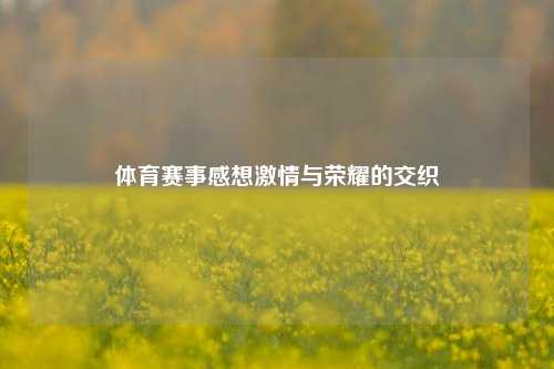 体育赛事感想激情与荣耀的交织