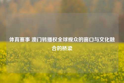 体育赛事 澳门转播权全球观众的窗口与文化融合的桥梁