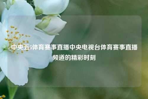 中央五5体育赛事直播中央电视台体育赛事直播频道的精彩时刻