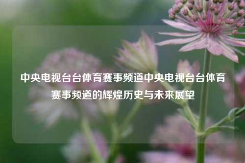 中央电视台台体育赛事频道中央电视台台体育赛事频道的辉煌历史与未来展望