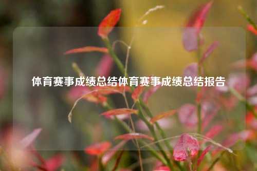 体育赛事成绩总结体育赛事成绩总结报告