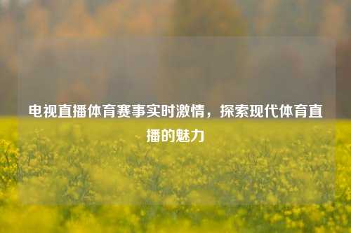 电视直播体育赛事实时激情，探索现代体育直播的魅力