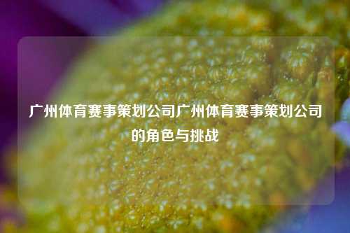 广州体育赛事策划公司广州体育赛事策划公司的角色与挑战