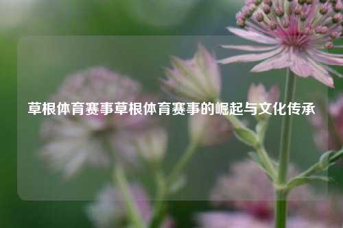 草根体育赛事草根体育赛事的崛起与文化传承