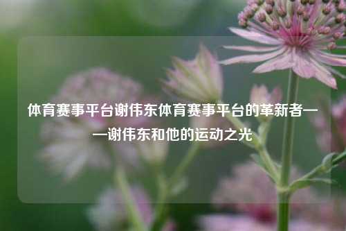 体育赛事平台谢伟东体育赛事平台的革新者——谢伟东和他的运动之光
