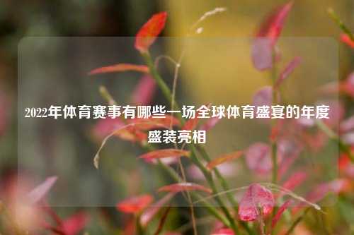 2022年体育赛事有哪些一场全球体育盛宴的年度盛装亮相