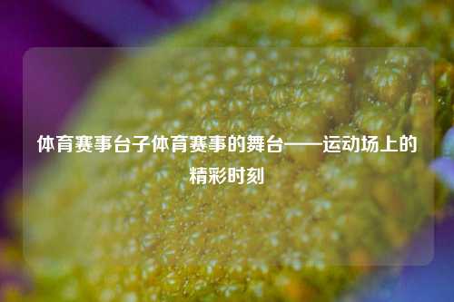 体育赛事台子体育赛事的舞台——运动场上的精彩时刻