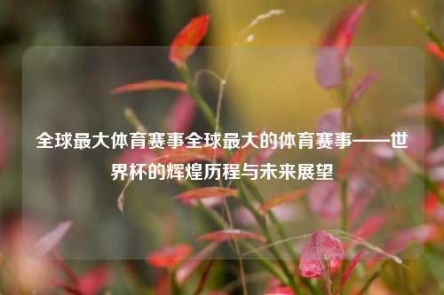 全球最大体育赛事全球最大的体育赛事——世界杯的辉煌历程与未来展望