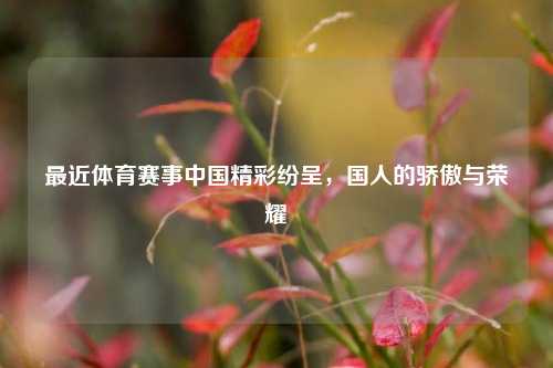 最近体育赛事中国精彩纷呈，国人的骄傲与荣耀