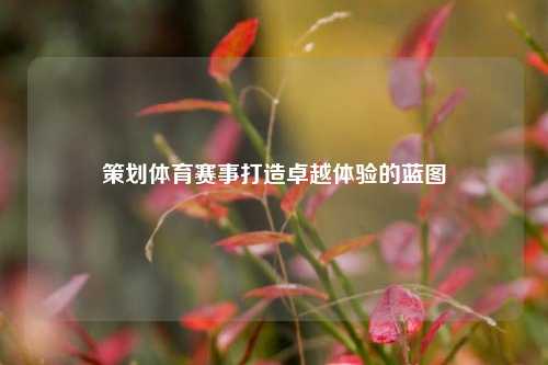 策划体育赛事打造卓越体验的蓝图
