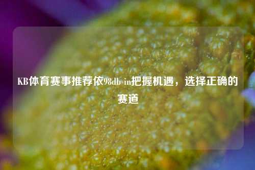 KB体育赛事推荐依98db in把握机遇，选择正确的赛道