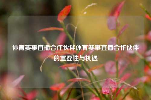 体育赛事直播合作伙伴体育赛事直播合作伙伴的重要性与机遇