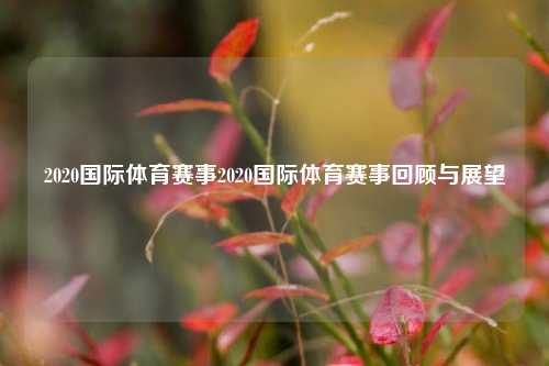 2020国际体育赛事2020国际体育赛事回顾与展望