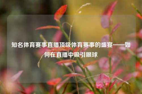 知名体育赛事直播顶级体育赛事的盛宴——如何在直播中吸引眼球