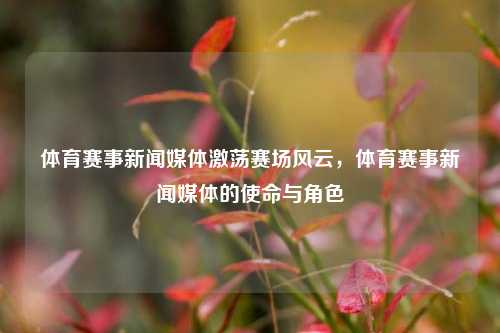 体育赛事新闻媒体激荡赛场风云，体育赛事新闻媒体的使命与角色