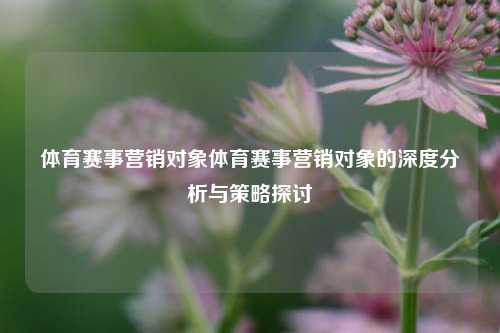 体育赛事营销对象体育赛事营销对象的深度分析与策略探讨