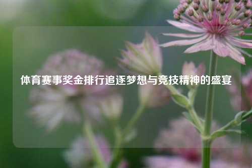 体育赛事奖金排行追逐梦想与竞技精神的盛宴