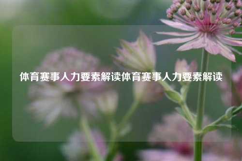 体育赛事人力要素解读体育赛事人力要素解读