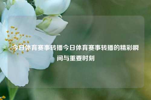 今日体育赛事转播今日体育赛事转播的精彩瞬间与重要时刻