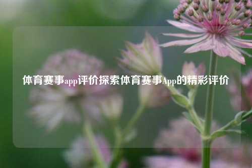 体育赛事app评价探索体育赛事App的精彩评价