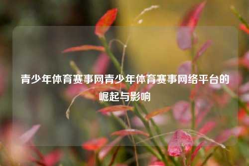 青少年体育赛事网青少年体育赛事网络平台的崛起与影响