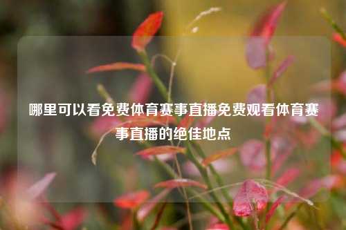 哪里可以看免费体育赛事直播免费观看体育赛事直播的绝佳地点