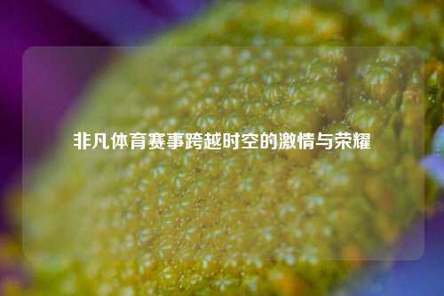 非凡体育赛事跨越时空的激情与荣耀
