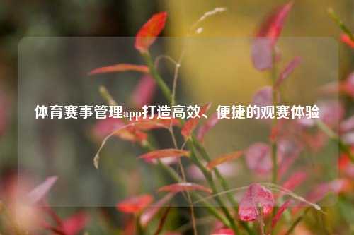 体育赛事管理app打造高效、便捷的观赛体验