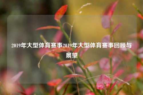 2019年大型体育赛事2019年大型体育赛事回顾与展望