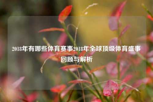 2018年有哪些体育赛事2018年全球顶级体育盛事回顾与解析