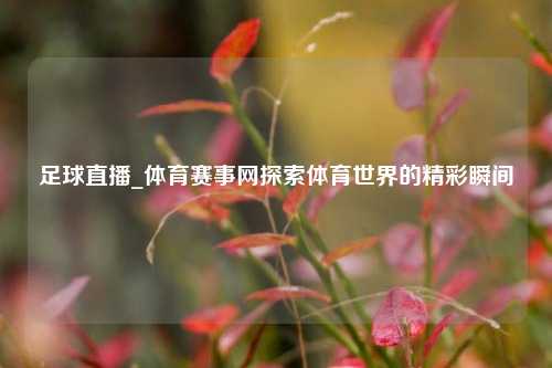 足球直播_体育赛事网探索体育世界的精彩瞬间