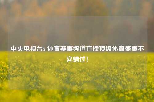 中央电视台5 体育赛事频道直播顶级体育盛事不容错过！