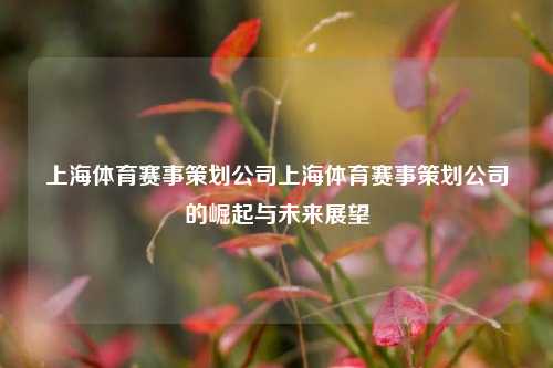 上海体育赛事策划公司上海体育赛事策划公司的崛起与未来展望